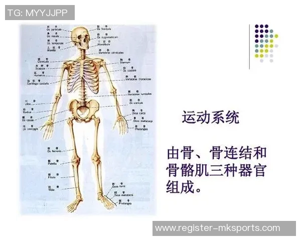运动数据科学排球训练方法的系统性配合与提升策略探讨